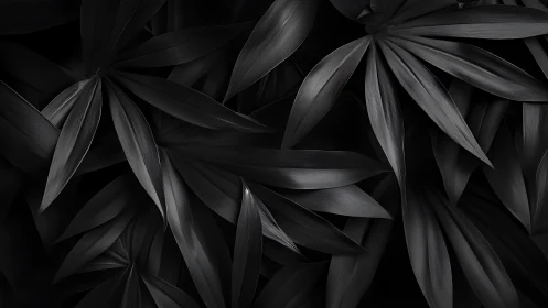 Monochrome macro analysis of overlapping tropical foliage plane.