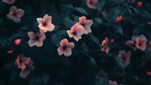 Moody Bloom: Delicate Pink Blossoms Dance Through Deep Teal Shadows.