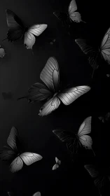 Nocturne of silver-winged butterflies in velvet shadowed air.