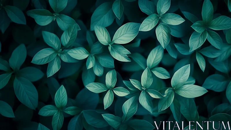 Teal-toned leafy foliage pattern under soft diffused light.