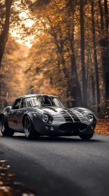 Silver outlaw coupe gliding through golden autumn hush.