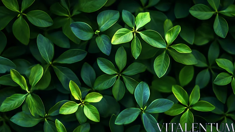 Lush green leaves create a soothing, gently glowing pattern