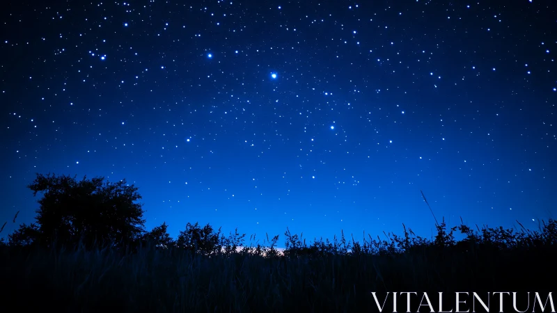 Wide-field nightscape captures star-dense sky over dark meadow