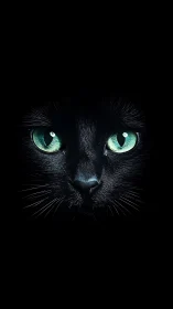Black Feline with Bioluminescent Emerald Eyes Isolated Against Dark Background