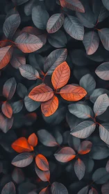Orange leaves stand out against dark blue foliage pattern.