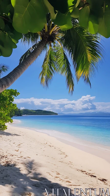 Tropical Beach Landscape with Palm Tree and Clear Water