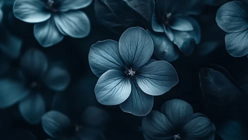 Moody Teal Floral Study with Shallow Depth Focus.