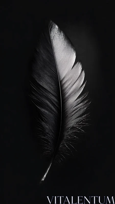 Single black feather glows softly against deep darkness.