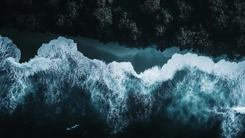 Midnight waves rolling into a secret forested shoreline.