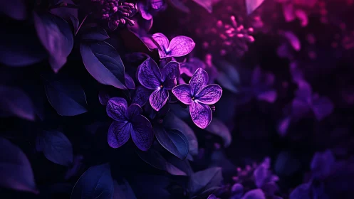 Purple Flowers Glowing in Darkness