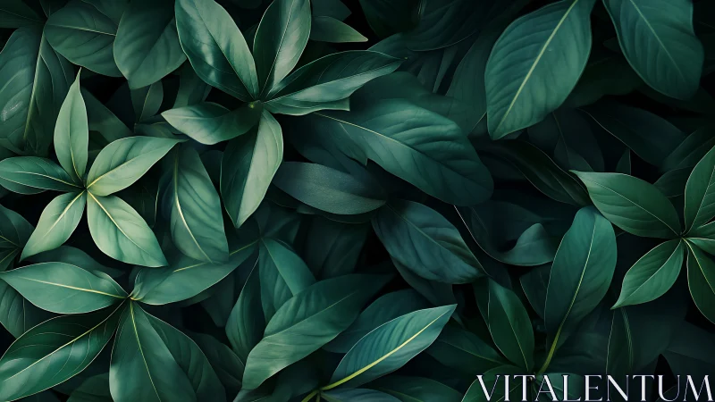 Lush emerald leaves creating a soothing green sanctuary.