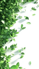 Gentle green leaves drifting into calm white light.