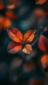 Luminous autumn leaf cluster in soft bokeh dusk glow.
