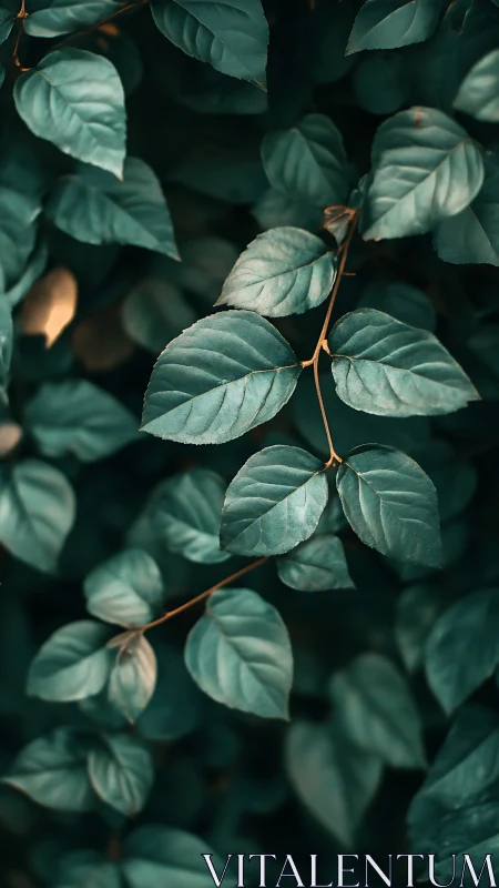 Soft teal leaves drifting through a calm forest hush.