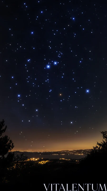 Night sky over illuminated coastline shows dense star field