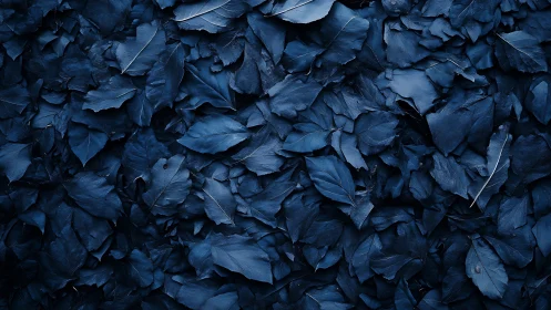 Monochrome blue dried foliage forms dense overlapping leaf texture