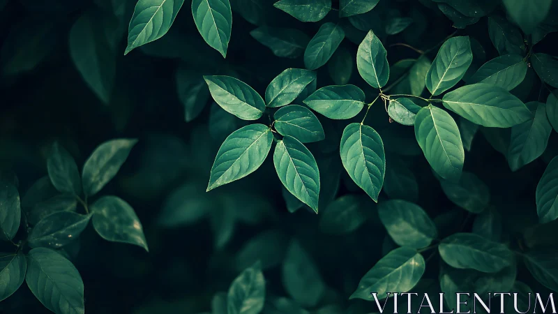 Midnight garden leaves whisper in emerald hush.