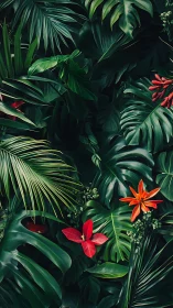 Dense tropical foliage fills the frame in layered composition