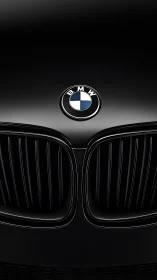 BMW front grille closeup against deep black background.