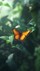 Monarch butterfly glows over deep green forest leaves.