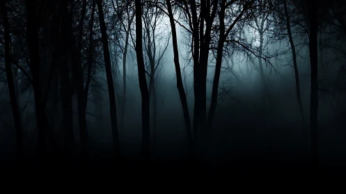 Moonlit trees emerge through dense, ghostly forest fog.