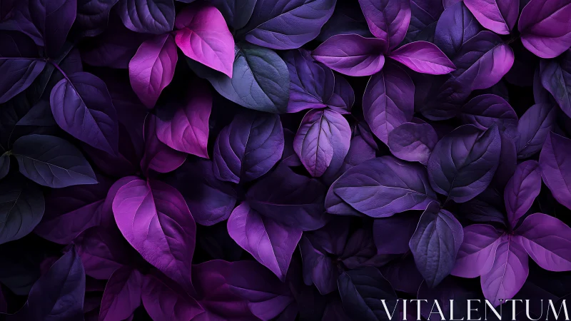 Dense purple foliage pattern shows high contrast tonal layering
