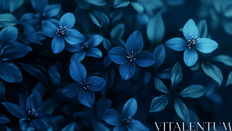 Midnight blue blossoms glow softly against dark foliage.