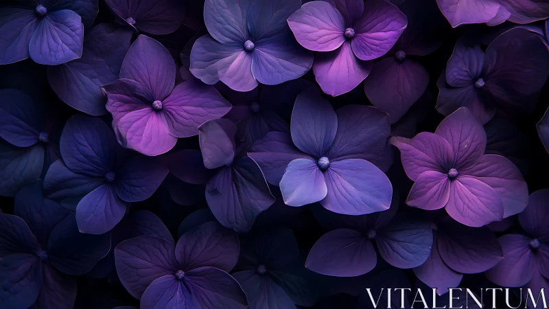 Purple Petals Dancing in Twilight.