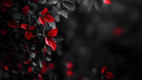 Chromatic isolation of scarlet foliage in monochrome bokeh field.