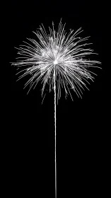 Monochrome aerial firework burst on pure black field.
