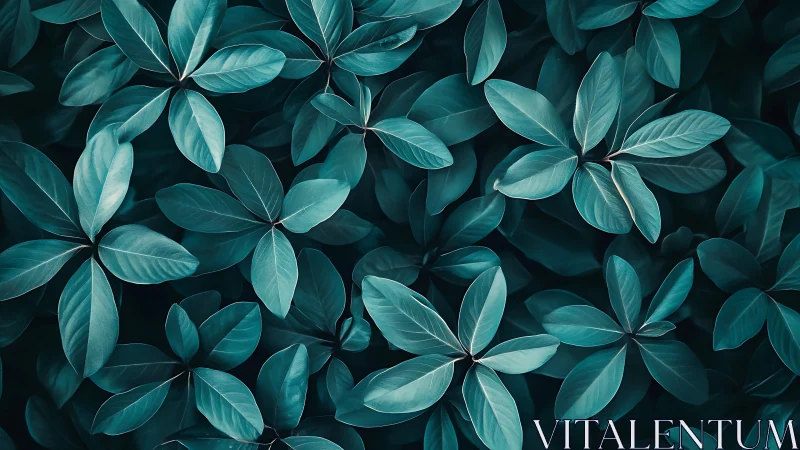 Overhead view of dense teal-toned foliage pattern.