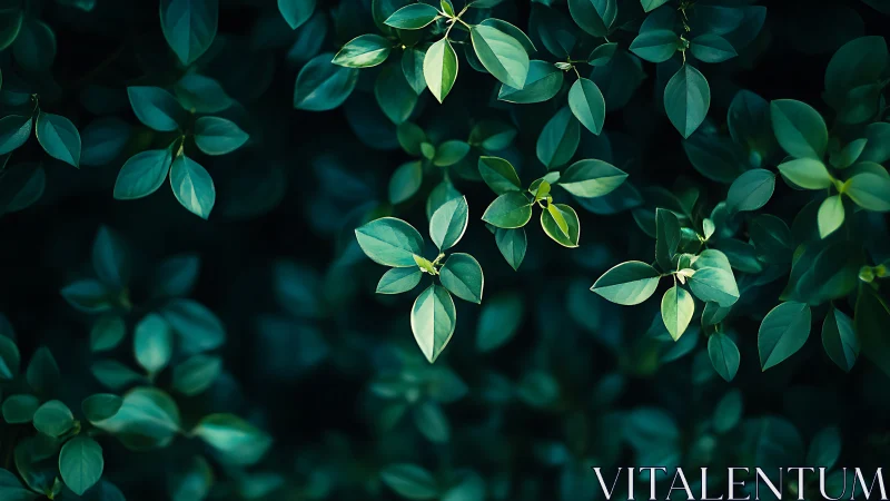 Selective focus on dense green foliage with shallow depth of field