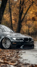Low-slung black coupe prowls an amber autumn roadway.