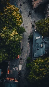 Cobblestone street runs between trees and city rooftops
