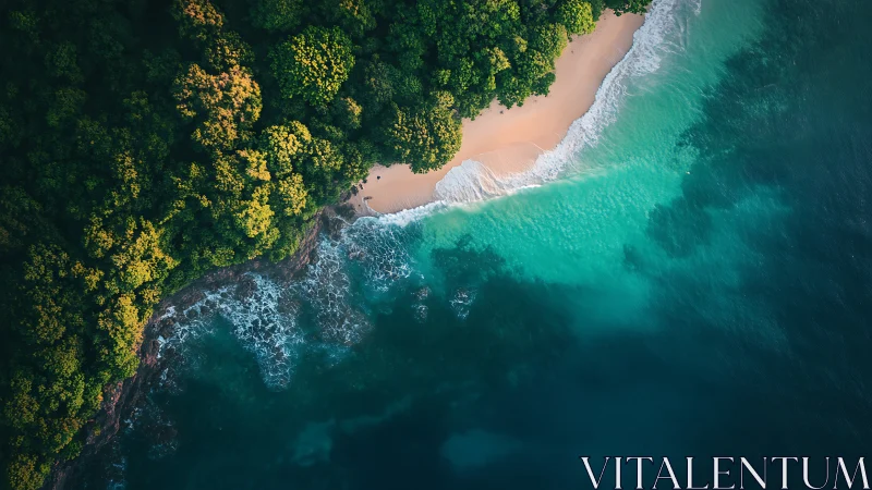 Tropical Coastal Paradise: Aerial Beach View