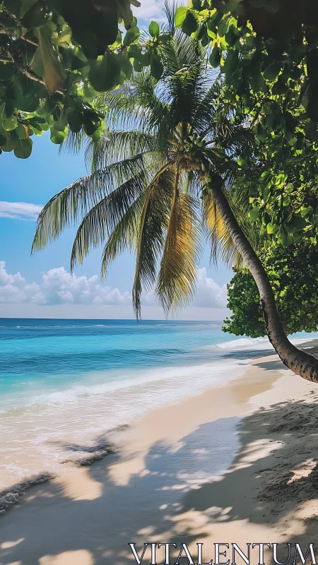 Tropical Beach Paradise With Palm Tree Framing Ocean Horizon