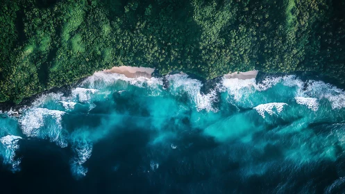 Emerald jungle leans into turquoise surf in rhythmic embrace