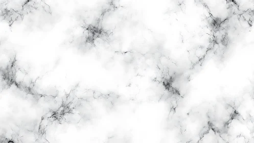 Soft white marble texture evokes calm, airy minimal design