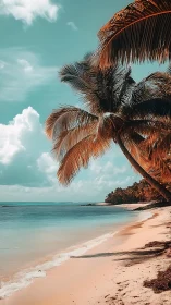 Palm Fronds Frame Turquoise Lagoon Paradise.