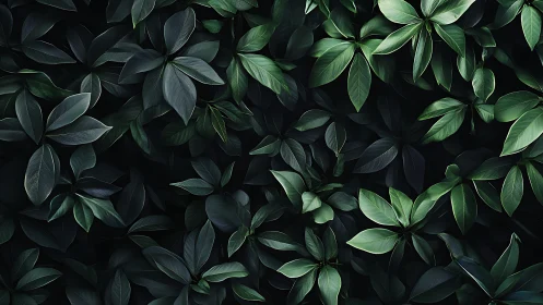 Lush dark green foliage forms a serene botanical backdrop