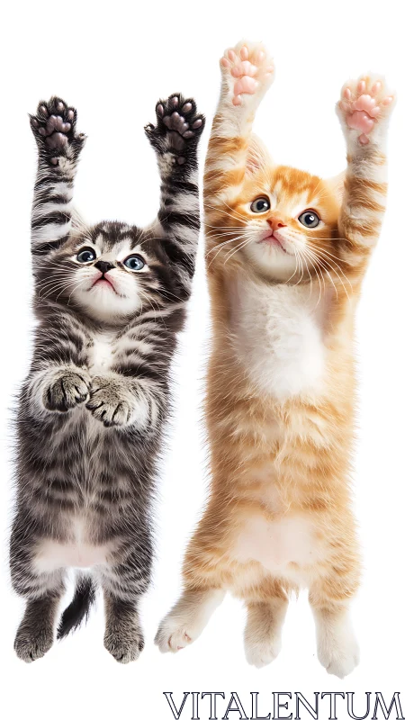 Two Kittens Reaching Upward With Joy.