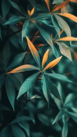 Teal green leaves with warm golden light highlights.