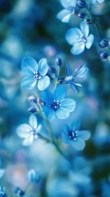 Delicate blue flowers with shallow depth of field rendering in soft focus botanical composition