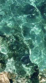 Sunlit shallow seawater with refracted caustic patterns and depth gradients