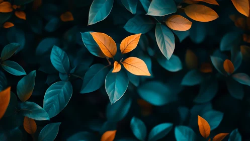 Teal and orange foliage with selective color contrast.