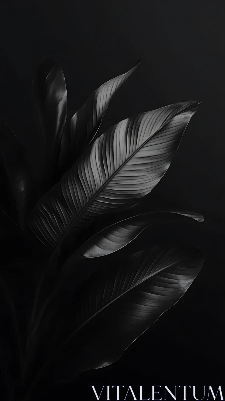 Large dark tropical leaves curve against a deep black background