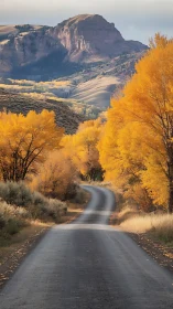 Curving asphalt road channels depth through autumn cottonwood canyon