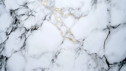 White marble surface with black and gold veining pattern.