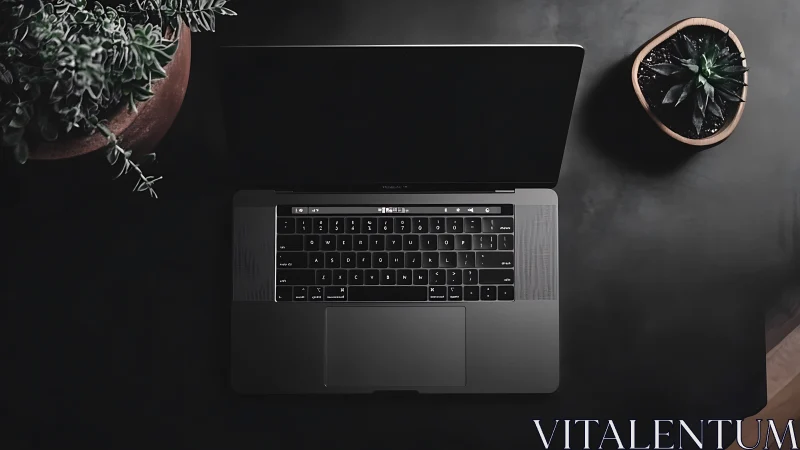 Overhead view of open laptop on dark desk with plants.