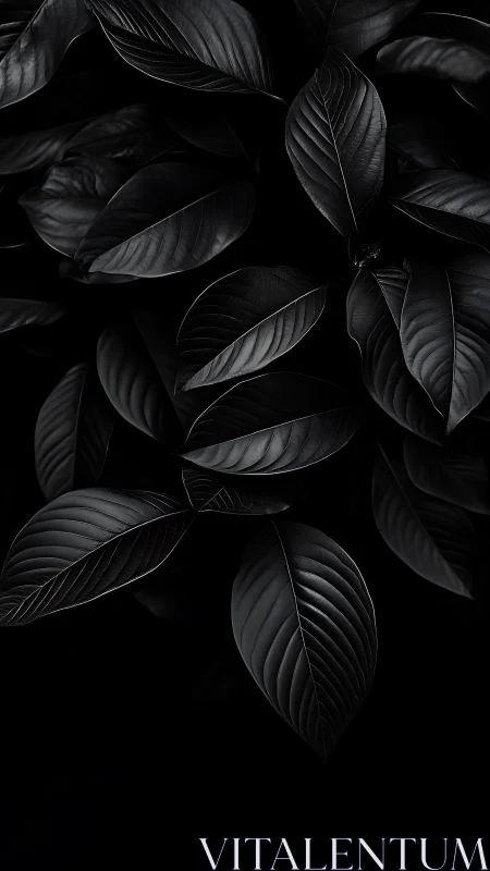 Monochrome close-up of overlapping dark foliage forms.